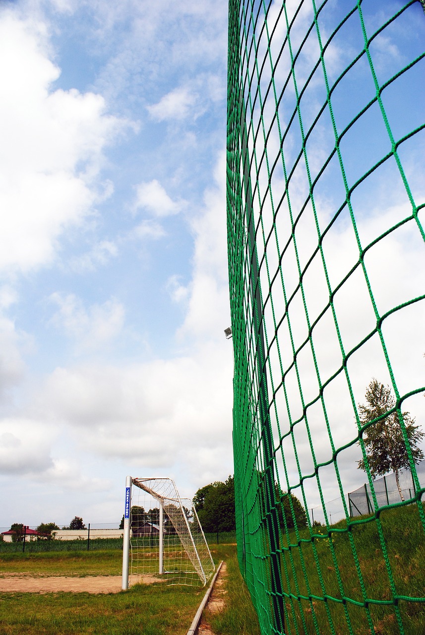 这些变化 这些变化