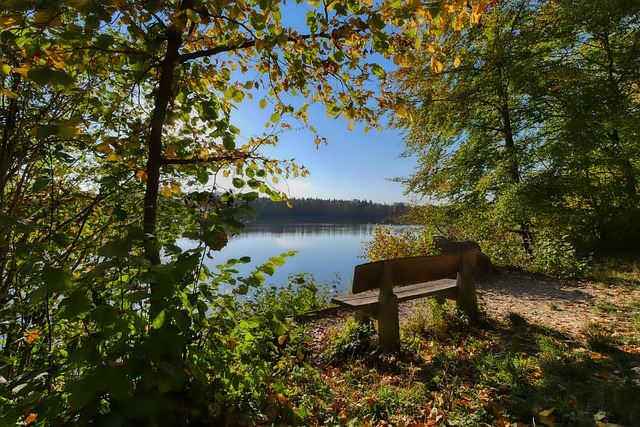 还能提供一 还能提供一