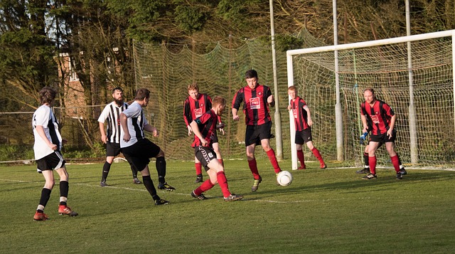 近日針對米 近日針對米